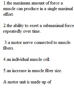 Chapter 4 Quiz